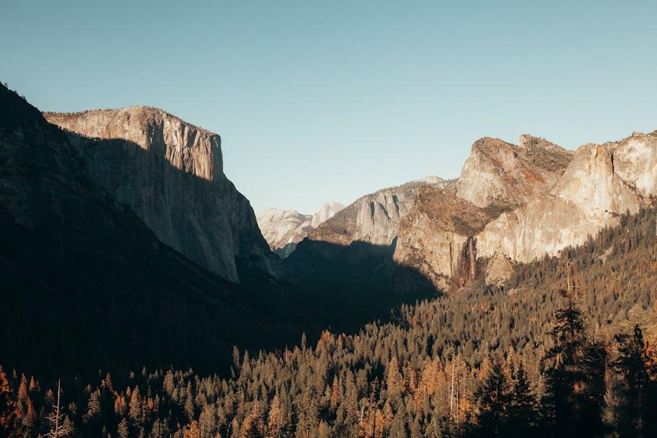 Nature's Bounty: The Ultimate Guide to National Park-Themed Gifts - Twigs Paper