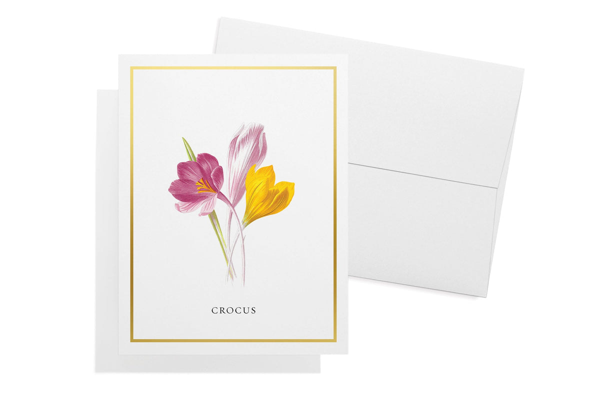 Botanical Beauty Garden Flower Greeting Cards, set of 12 with envelopes, Twigs Paper - view 4