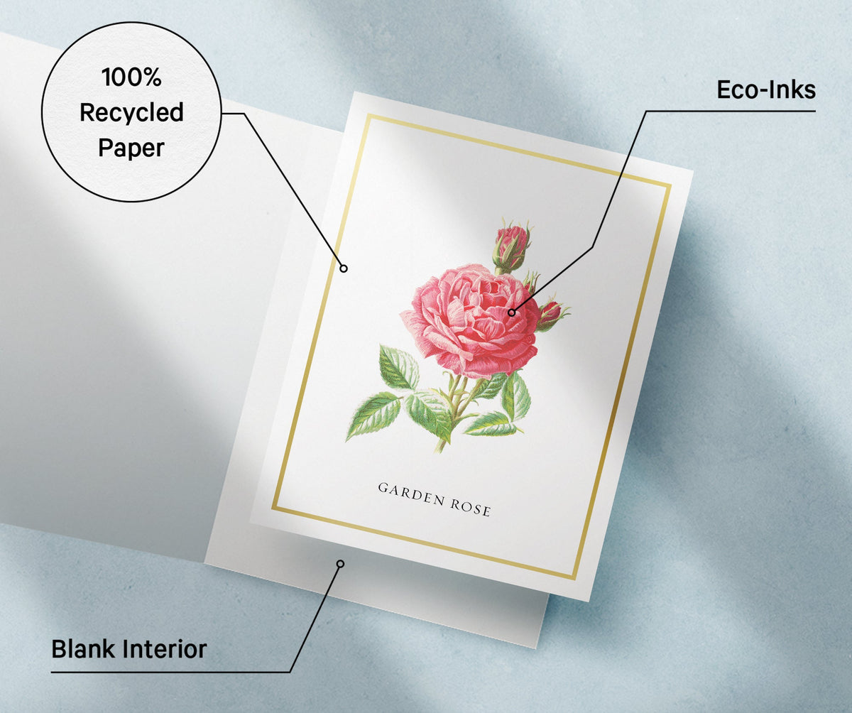 Botanical Beauty Garden Flower Greeting Cards, set of 12 with envelopes, Twigs Paper - view 8