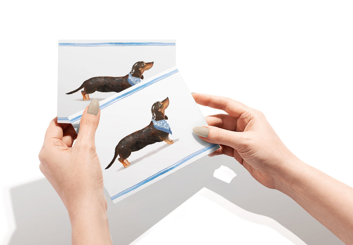 Dachshund Watercolor Dog Greeting Cards, set of 12 with envelopes, Twigs Paper - view 5