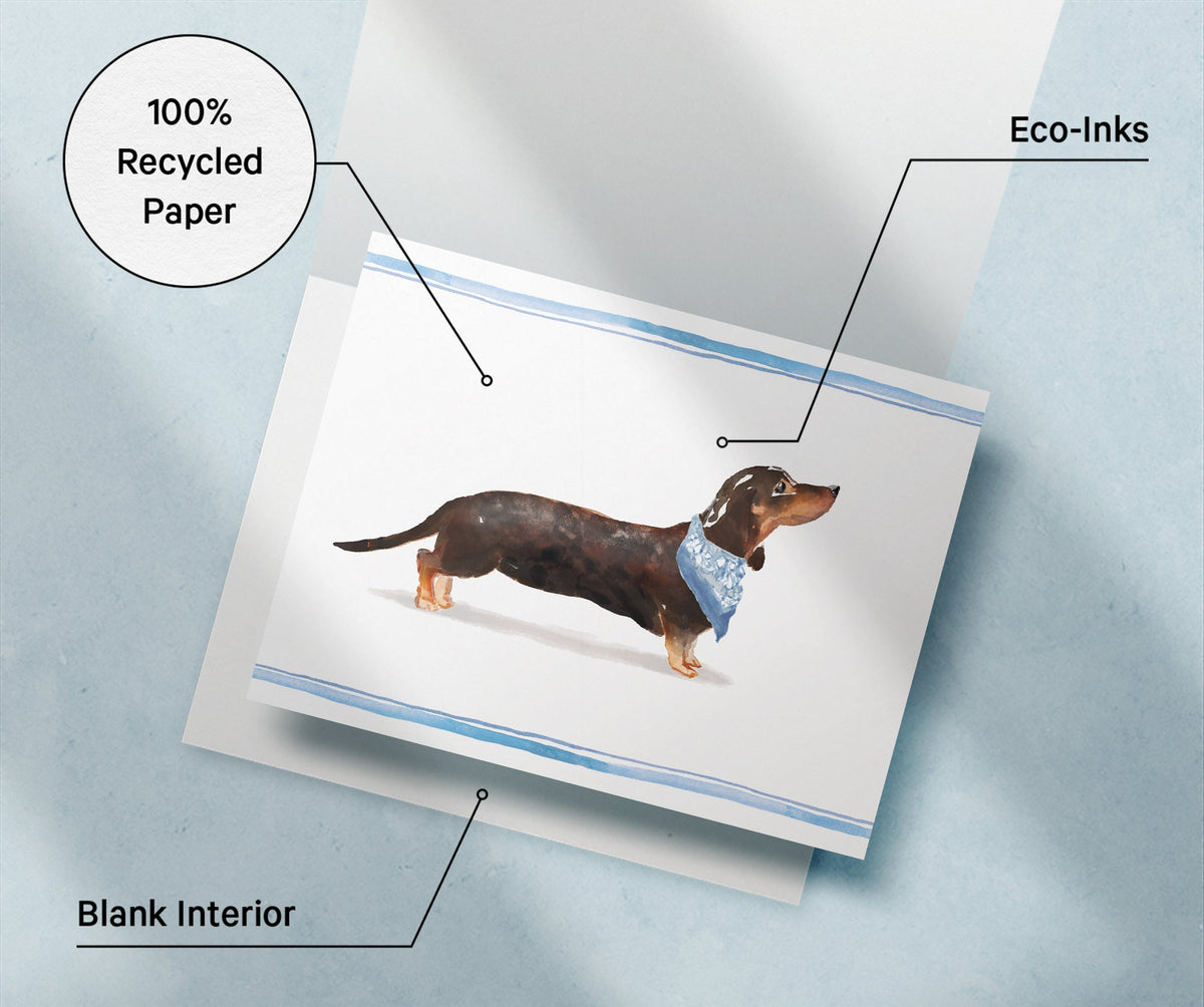 Dachshund Watercolor Dog Greeting Cards, set of 12 with envelopes, Twigs Paper - view 6