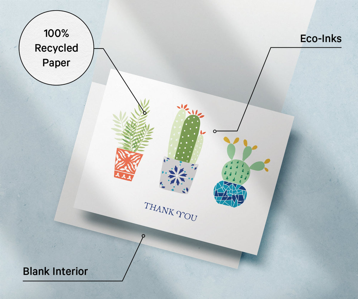 Desert Blooms Succulent Thank You Cards, set of 12 with envelopes, Twigs Paper - view 10
