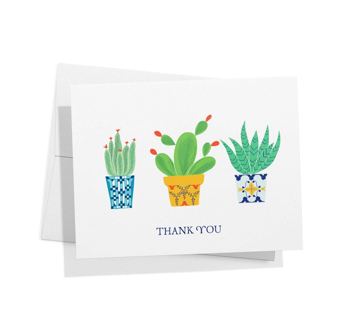 Desert Blooms Succulent Thank You Cards, set of 12 with envelopes, Twigs Paper - view 6