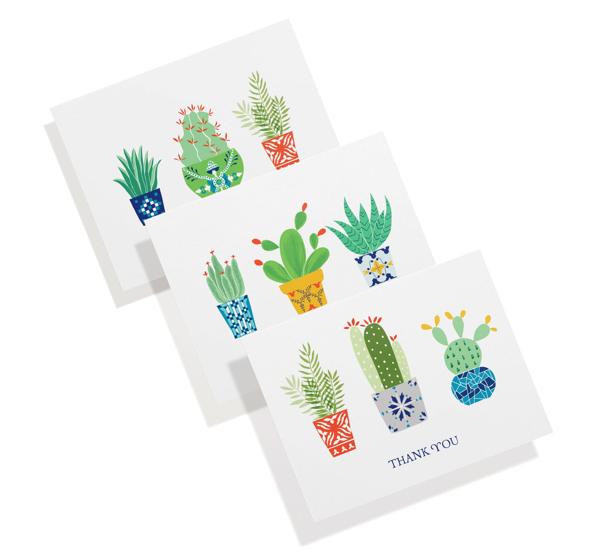 Desert Blooms Succulent Thank You Cards, set of 12 with envelopes, Twigs Paper - view 2
