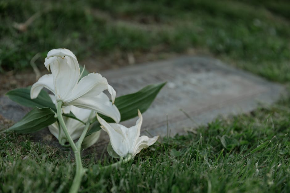 Finding the Right Words: 'My Deepest Condolences to You and Your Family' - Twigs Paper