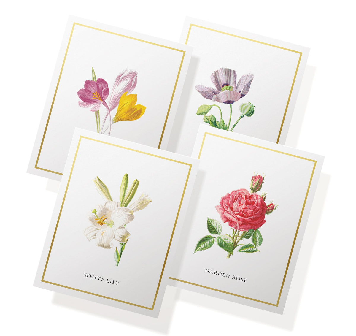 Botanical Beauty Garden Flower Greeting Cards, set of 12 with envelopes, Twigs Paper - view 5