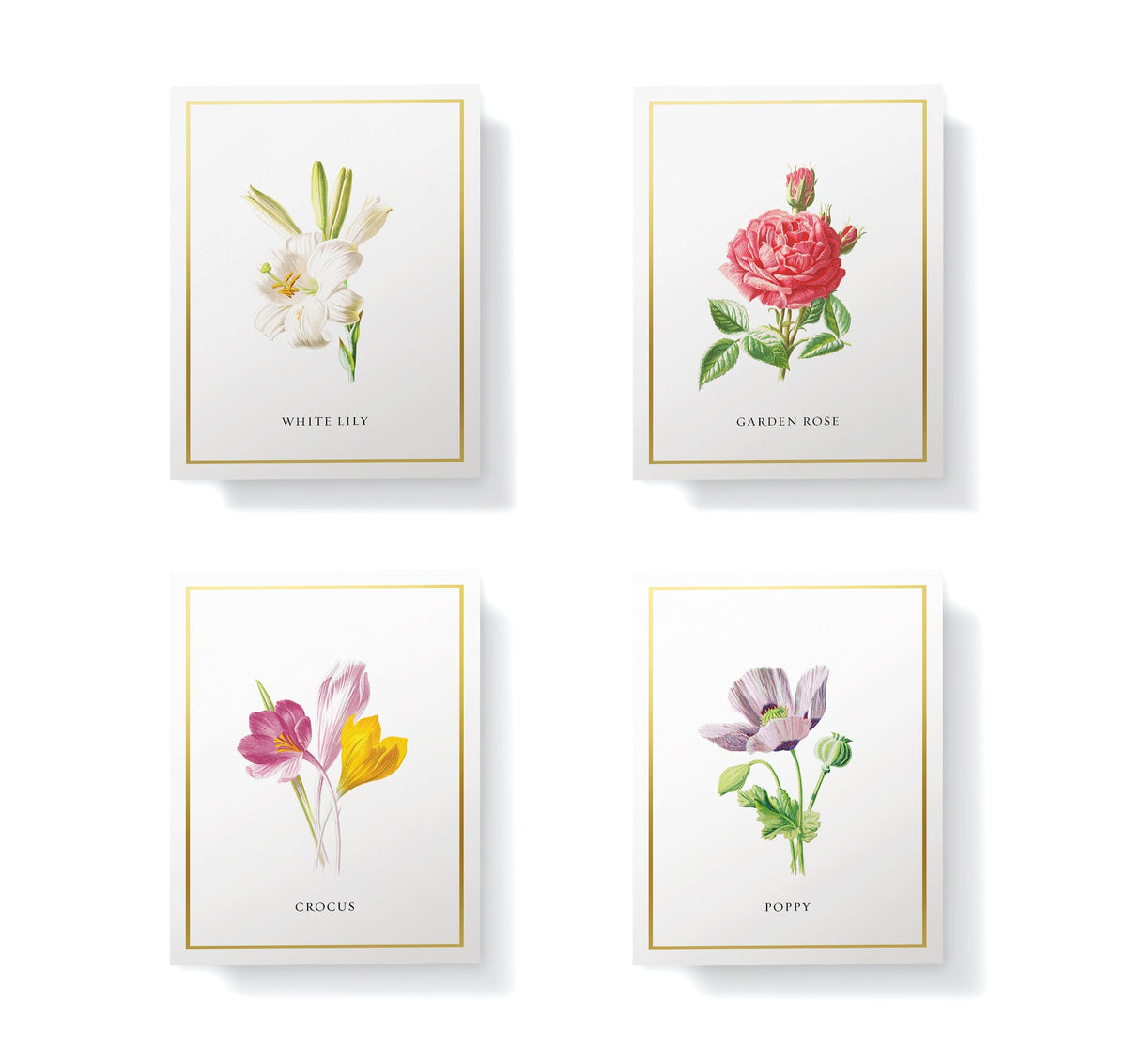 Botanical Beauty Garden Flower Greeting Cards, set of 12 with envelopes, Twigs Paper - view 6