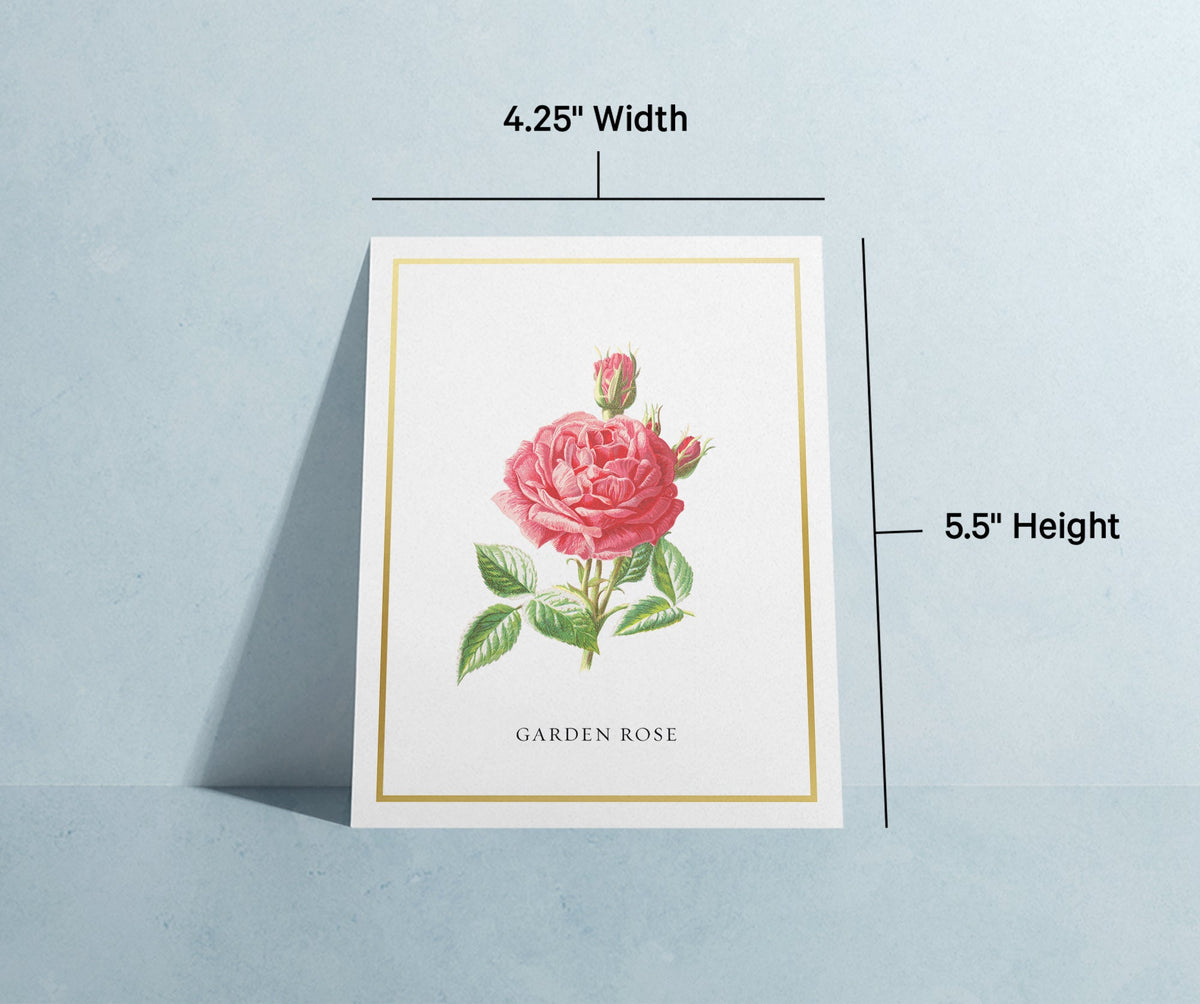 Botanical Beauty Garden Flower Greeting Cards, set of 12 with envelopes, Twigs Paper - view 9