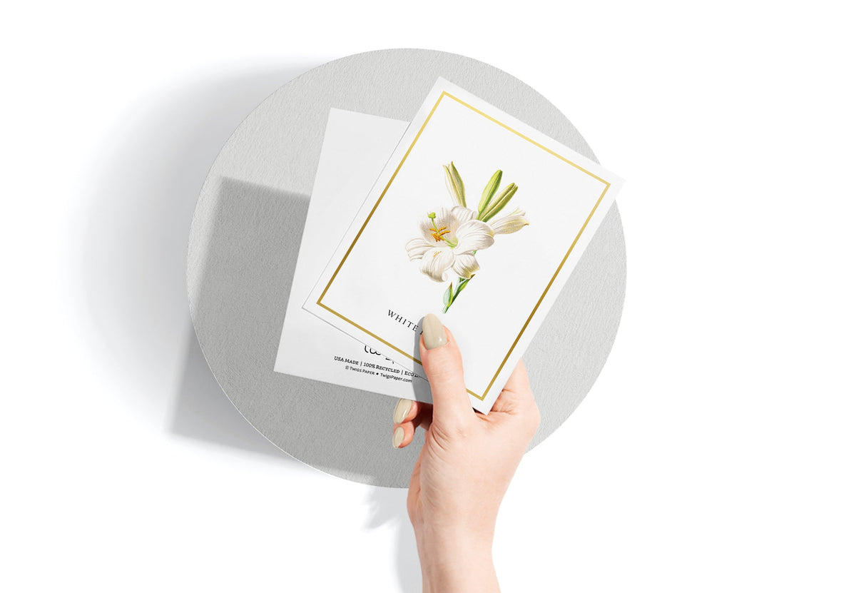 Botanical Beauty Garden Flower Greeting Cards, set of 12 with envelopes, Twigs Paper - view 3