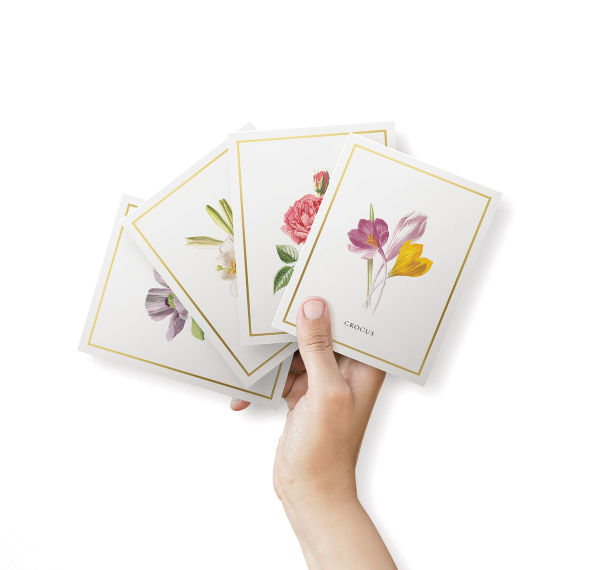 Botanical Beauty Garden Flower Greeting Cards, set of 12 with envelopes, Twigs Paper - view 2