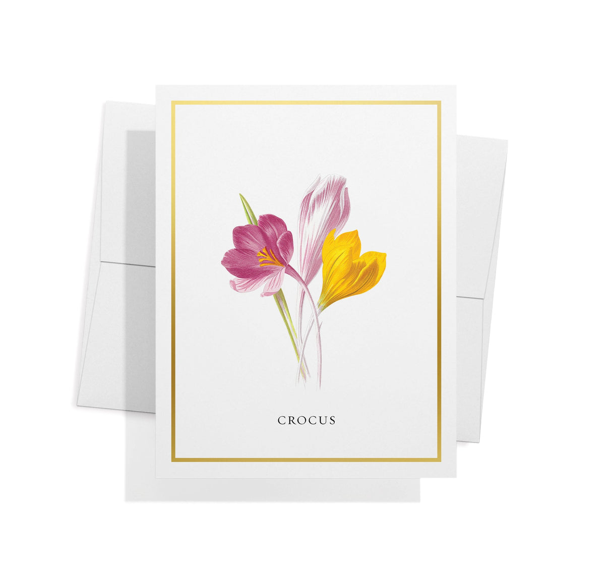 Botanical Beauty Garden Flower Greeting Cards, set of 12 with envelopes, Twigs Paper - view 7