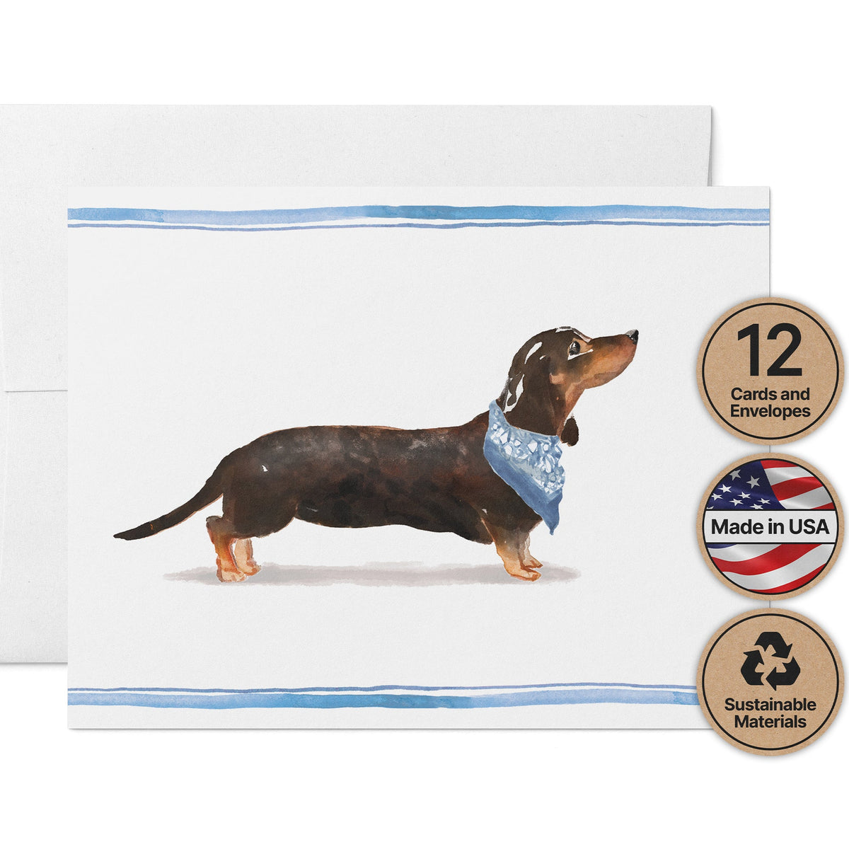 Dachshund Watercolor Dog Greeting Cards, set of 12 with envelopes, Twigs Paper