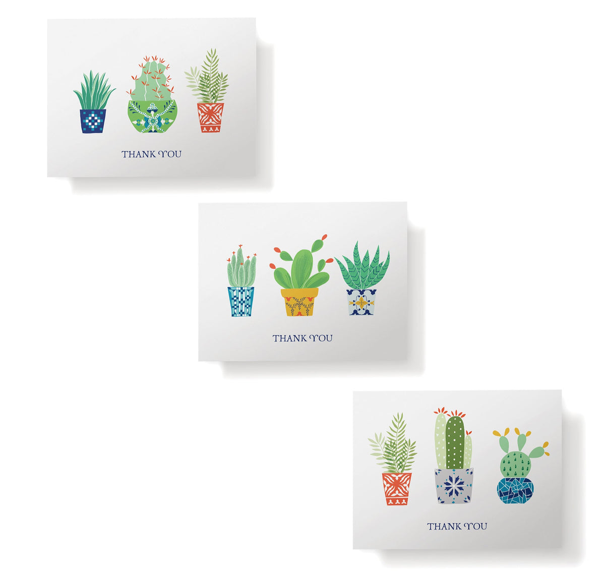 Desert Blooms Succulent Thank You Cards, set of 12 with envelopes, Twigs Paper - view 4
