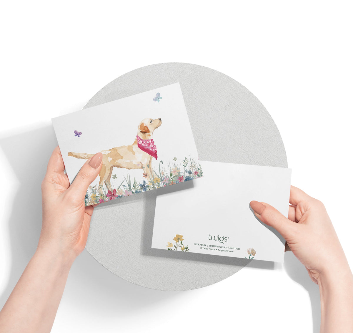 Labrador Retriever Watercolor Dog Greeting Cards, set of 12 with envelopes, Twigs Paper - view 3