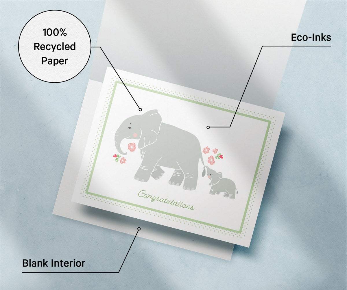 Mother & Baby Animal Congratulations Cards, set of 12 with envelopes, Twigs Paper - view 9