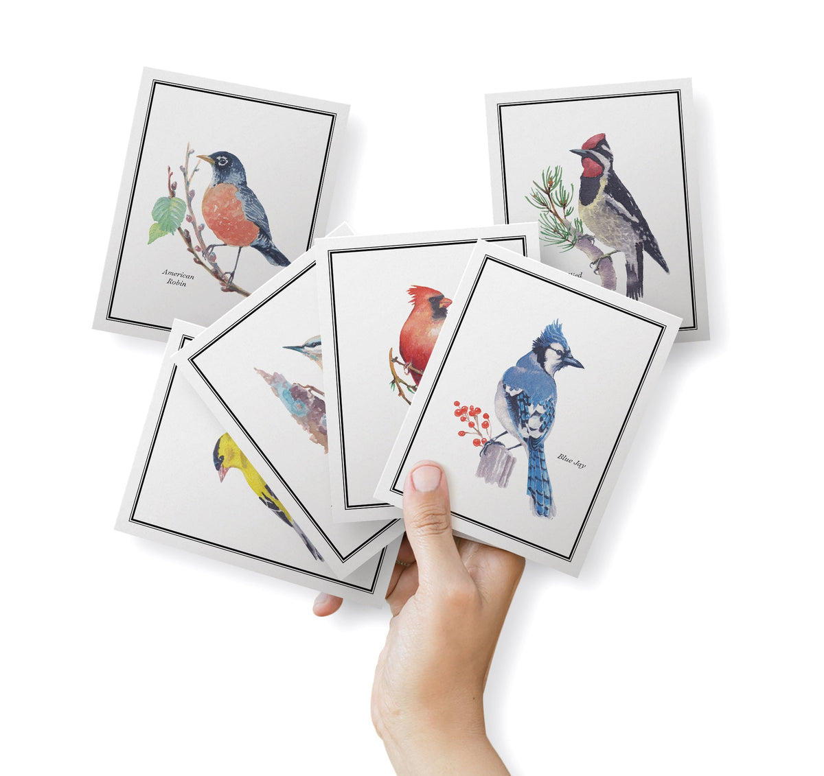 Vintage Birds Watercolor Greeting Cards, set of 12 with envelopes, Twigs Paper - view 3