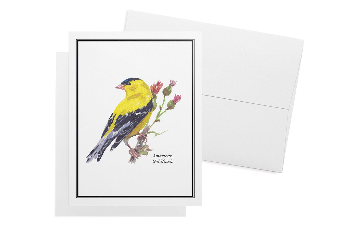 Vintage Birds Watercolor Greeting Cards, set of 12 with envelopes, Twigs Paper - view 6