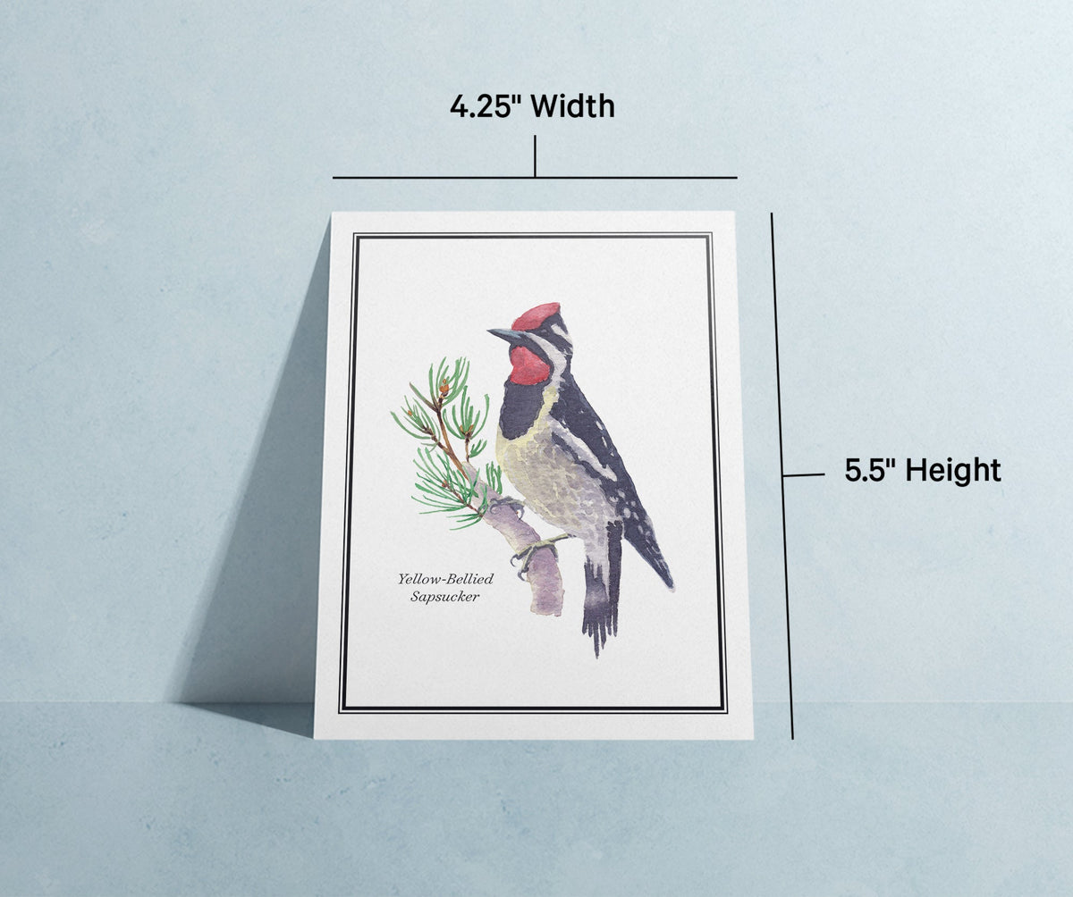 Vintage Birds Watercolor Greeting Cards, set of 12 with envelopes, Twigs Paper - view 10