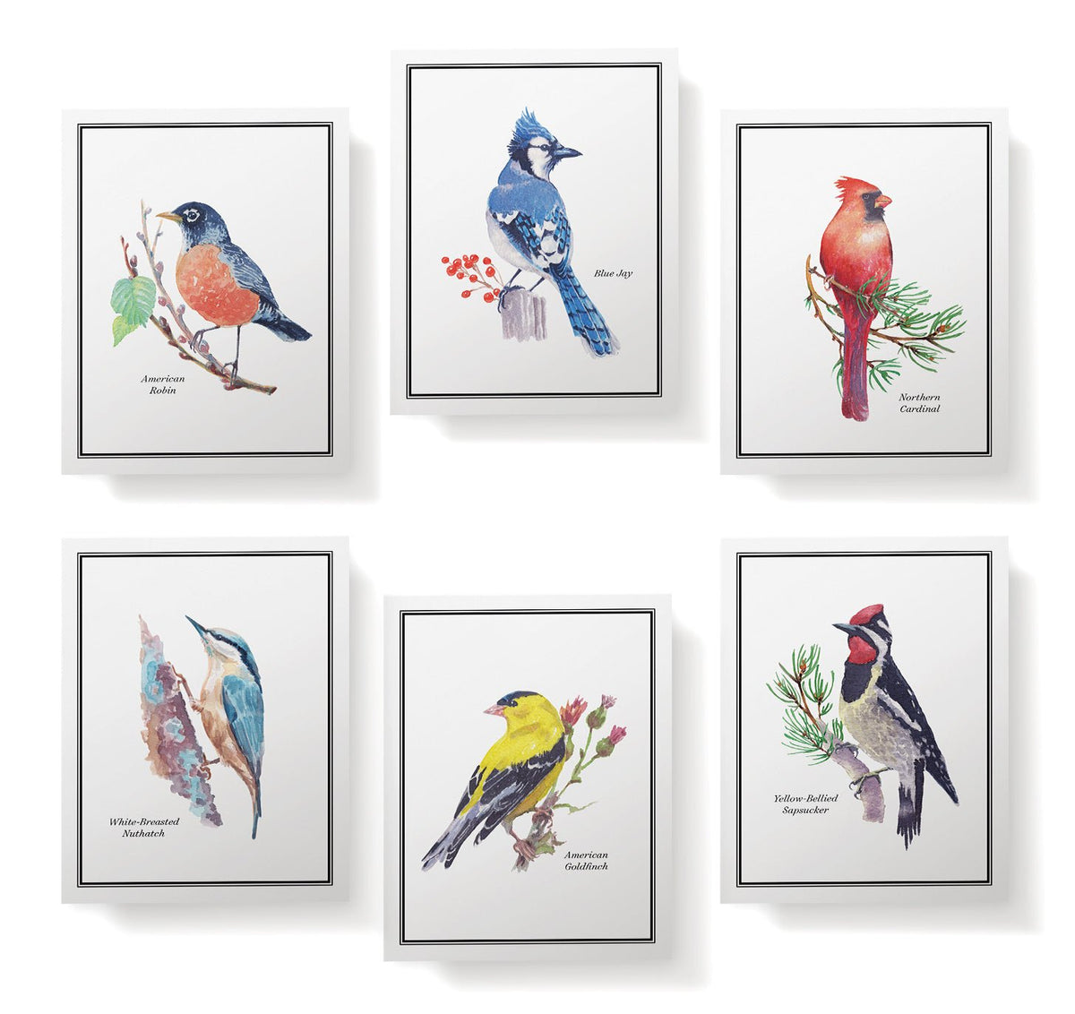 Vintage Birds Watercolor Greeting Cards, set of 12 with envelopes, Twigs Paper - view 4