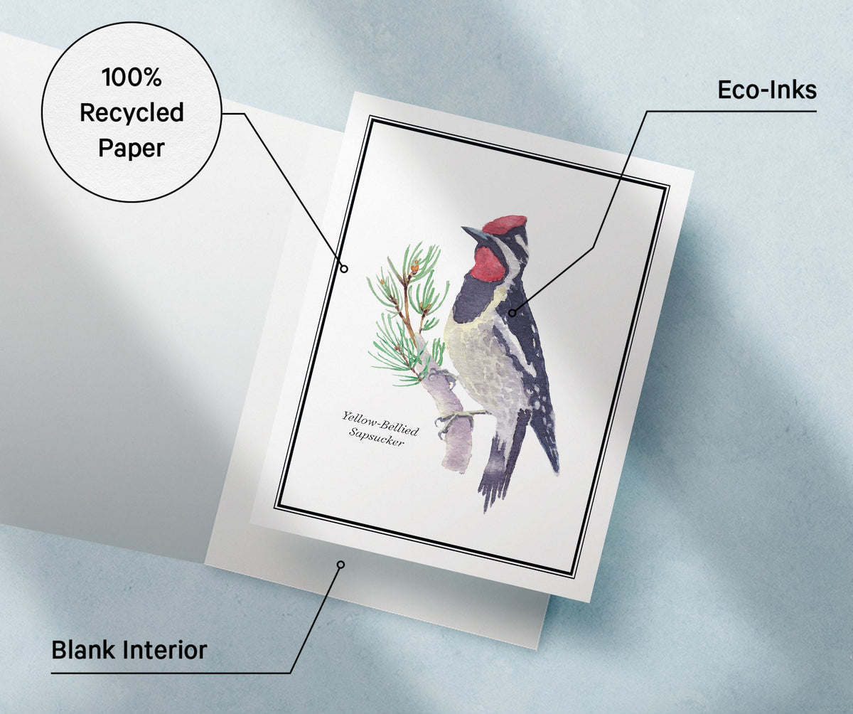 Vintage Birds Watercolor Greeting Cards, set of 12 with envelopes, Twigs Paper - view 9